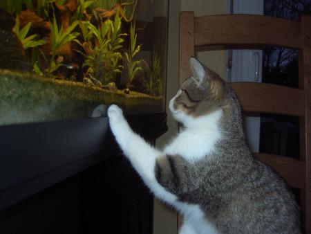 tu r�ve b�b� chat!!